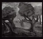 De Divitiis, Emilia , Bosco