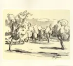 De Grada, Raffaele , Ulivi