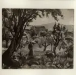 De Grada, Raffaele , Orti in Toscana