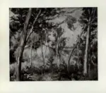 De Grada, Raffaele , Bosco e pagliai