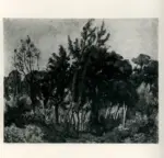 De Grada, Raffaele , Bosco