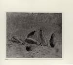 Del Bon, Angelo , Pere -