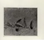 Del Bon, Angelo , Pere -