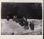 Del Bon, Angelo , Natura morta con i peperoni