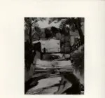 Da Milano, Giulio , Paese con cavalli