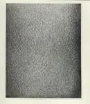 Foto Barsotti , s.v.