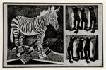 Depero, Fortunato , Zebra e pinguini - Pannello in buxus