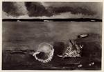 Bacci, Attilio , De Pisis, Filippo - sec. XX - Natura morta marina