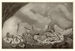 De Pisis, Filippo , Nature morte marine