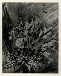 De Pisis, Filippo , Fiori