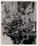 De Pisis, Filippo , Fiori