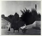 Donghi, Antonio , Gita in carrozzino