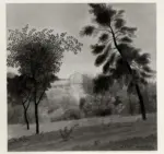 Donghi, Antonio , Paesaggio (Villa Corsini, Roma) -