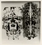 Fedrizzi, Ines , Orchidea superba