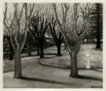 Francalancia, Riccardo , Febbraio al granzolo