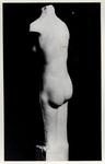 Galizzi, Nino , Torso femminile