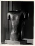 Wiegman, Jenny , Torso d'uomo -