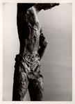 Geradi, Alberto , Busto virile