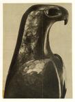 Geradi, Alberto , aquila -