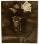 Ghiglia, Oscar , Rose