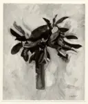 Gordigiani, Remo , Foglie di magnolia