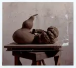 Gorni, Giuseppe , Zucche