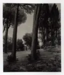 Guerrini, Giovanni , Paesaggio romano