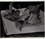 Guttuso, Renato , Fogli