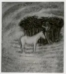 Lattanzio, Giuseppe , Cavallino