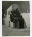 Levy, Moses , L'albero africano