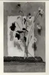 Universit&agrave; di Pisa. Dipartimento di Storia delle Arti&nbsp; , Mafai, Mario - sec. XX - Fiori secchi su foglio bianco