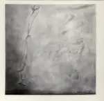 De Don&agrave; Colorphotos , s.v.