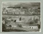 Anonimo ; Anonimo , s.v.