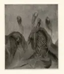 Anonimo , Mafai, Mario - sec. XX - Fiori