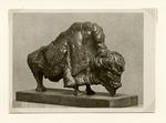 Maine, Angelo Camillo , Bufalo malato -