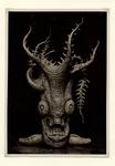 Maine, Angelo Camillo , Melanoteuthis