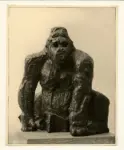 Maine, Angelo Camillo , Gorilla