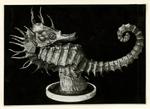 Maine, Angelo Camillo , Hippocampus mediterraneo -