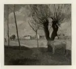 Manzone, Giuseppe , Il vecchio salice