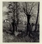 Manzone, Giuseppe , Primavera