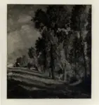 Manzone, Giuseppe , Alberi