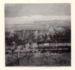 Marchini, Giovanni , Primavera