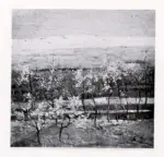 Marchini, Giovanni , Primavera