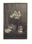 Marcucci, Mario , - Vaso di ciclamini