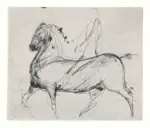 Marini, Marino , Disegno