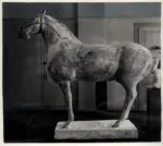 Marini, Marino , Cavallo