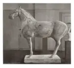 Marini, Marino , Cavallo