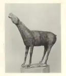 Anonimo ; Anonimo , s.v.