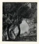 Anonimo ; Anonimo , s.v.