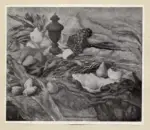 Anonimo ; Anonimo , s.v.